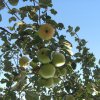 k-weihnachtsfeier_2008_2_20091011_1623075413