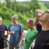 Burgfest 2018 (Sascha)