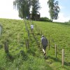 k-IMG_0612