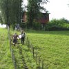 k-IMG_0613