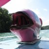 k-IMG_0627