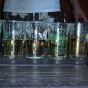 Cousin-en Treffen 2013 (Gabi)