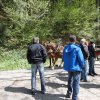 Cousin-en Treffen 2014 (Dieter)